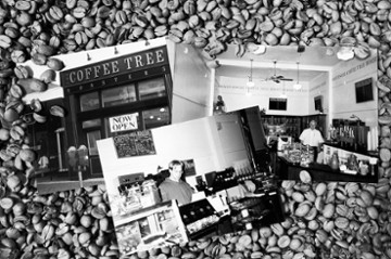 Coffee Tree Roasters | Shadyside Shadyside