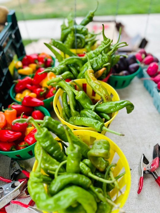 Italian Long Hot Peppers