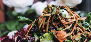 Typhoon Noodles 1834 Hendersonville Road