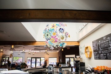 Sleepy Bee Cafe - Blue Ash