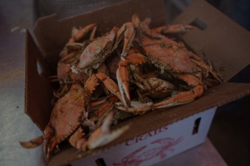 Captain Zeak's Crab House New Castle