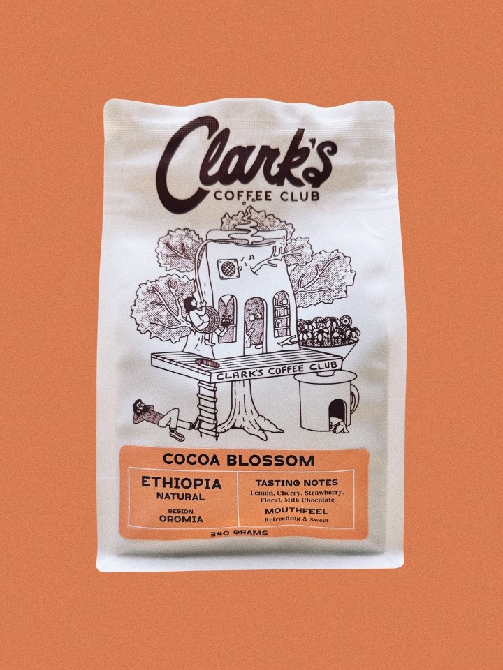 *Clark's: Cocoa Blossom