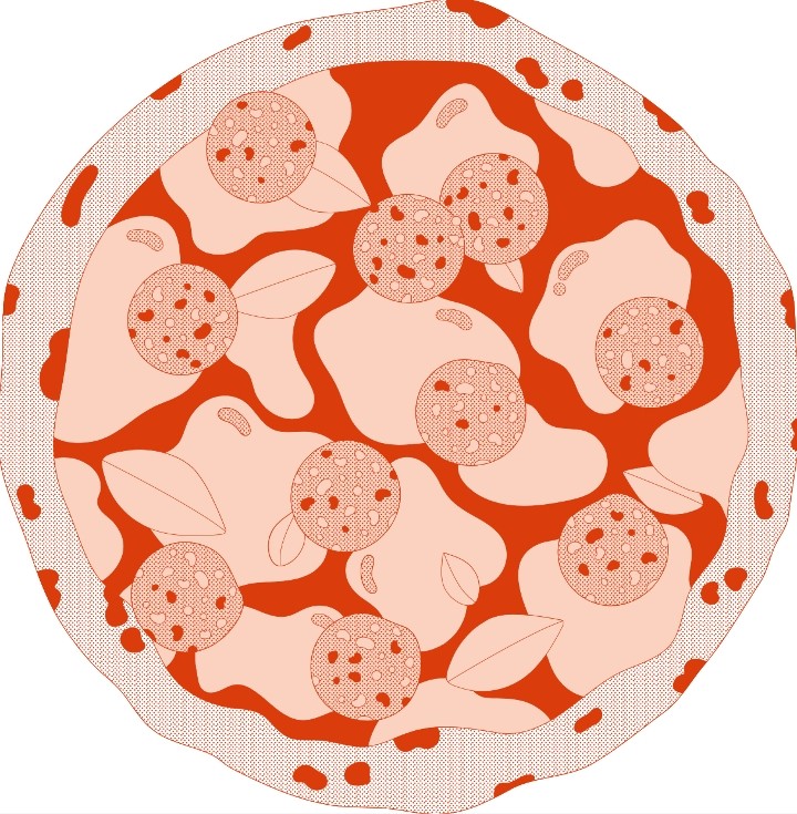 Cosetta