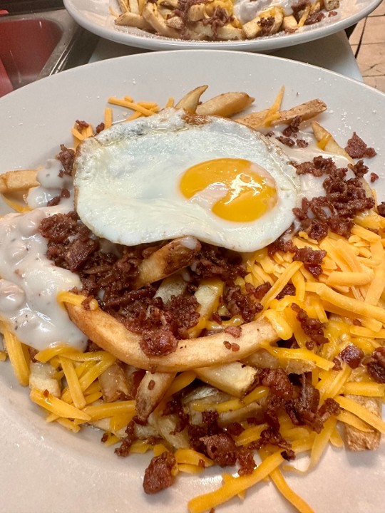 LOADED CRACK'D FRIES