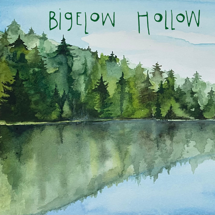 Bigelow Hollow