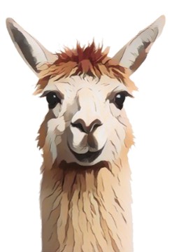 Taco Lamas 4589 West Higgins Road