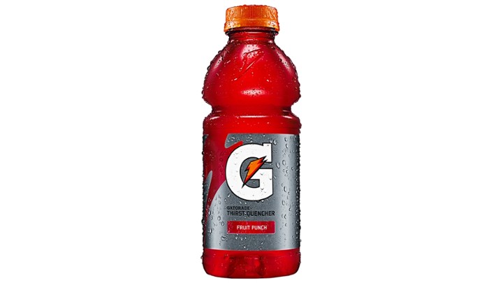 Gatorade Fruit Punch - 20oz Bottle