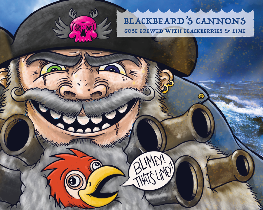 Blackbeard's Cannons Blackberry Lime Gose 4pk
