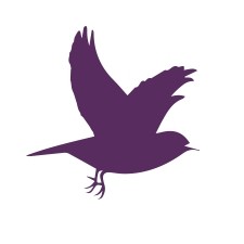 JoyLark 260 Post Road