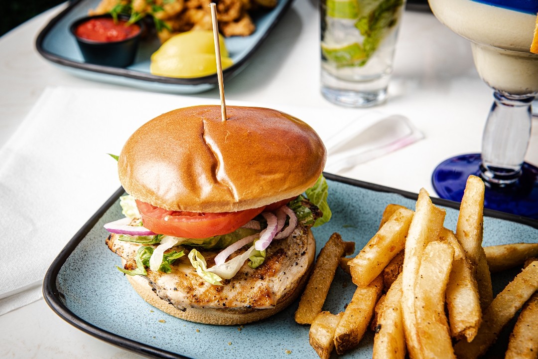 Grilled Chicken Sandwich
