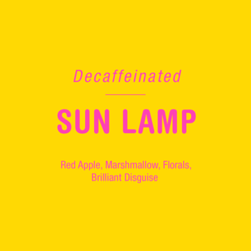 Sun Lamp (Decaf)
