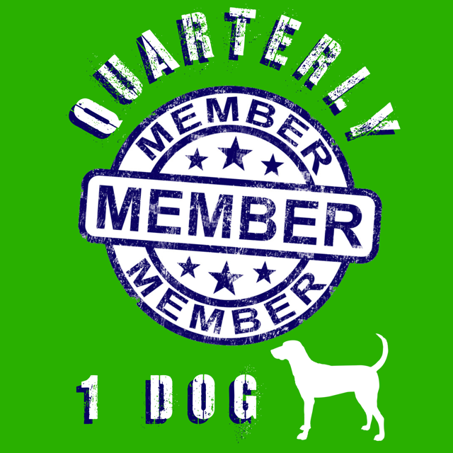 2020 Quarterly Membership - One Dog