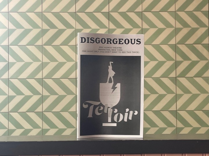 Disgorgeous Zine Issue #3