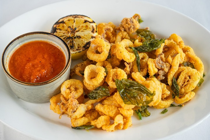 Calamari Fritti