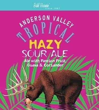 7. Anderson Valley- Tropical Sour Hazy