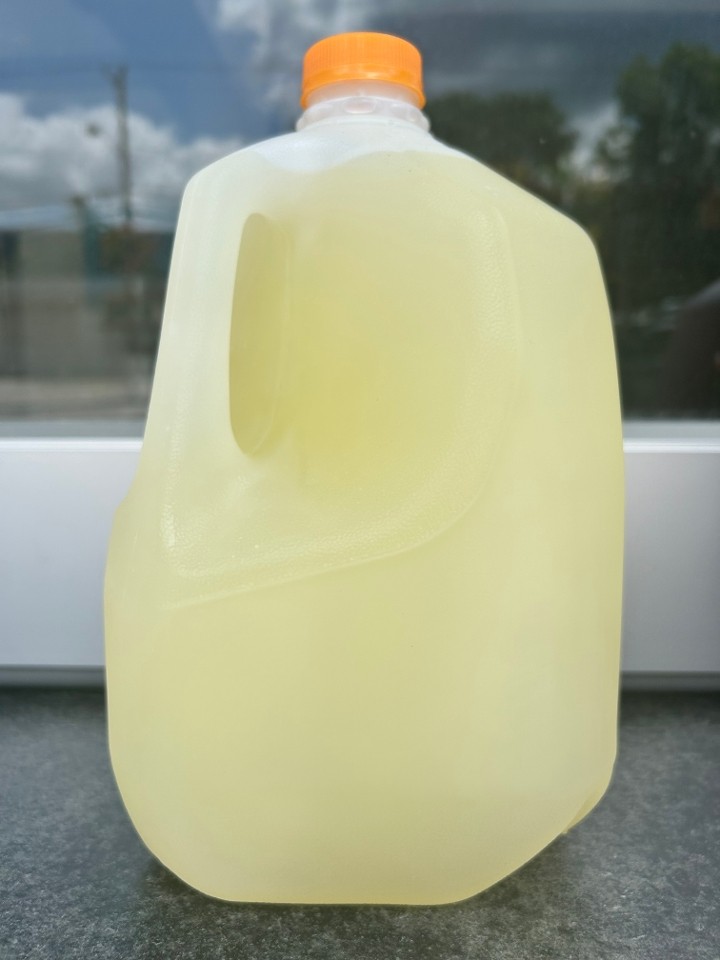 GALLON Lemonade