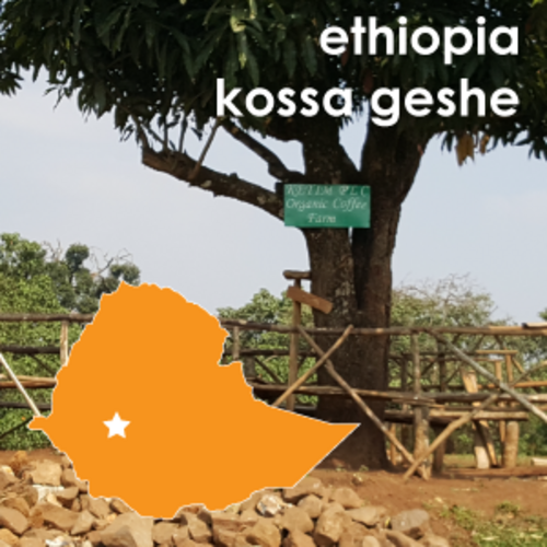 Ethiopia Kossa Geshe Organic