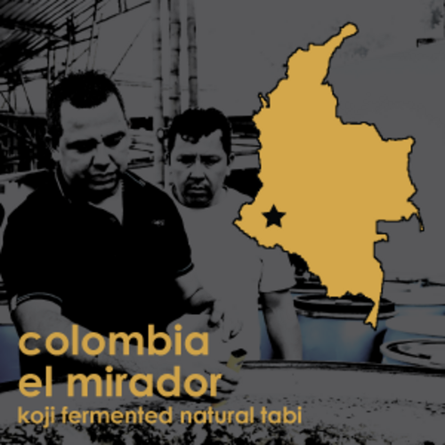 Colombia el Mirador Koji Fermented Natural Tabi