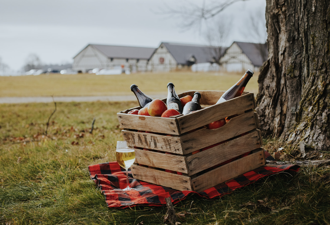 Cider Society Fall Box - APPLE FEST RELEASE
