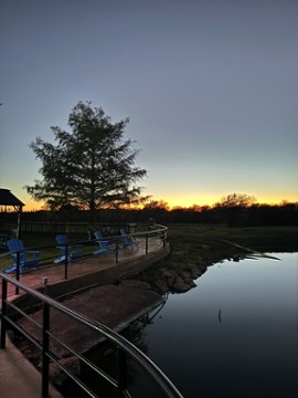 The Back Porch