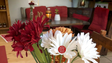 The Red Dot Vegetarian Kitchen