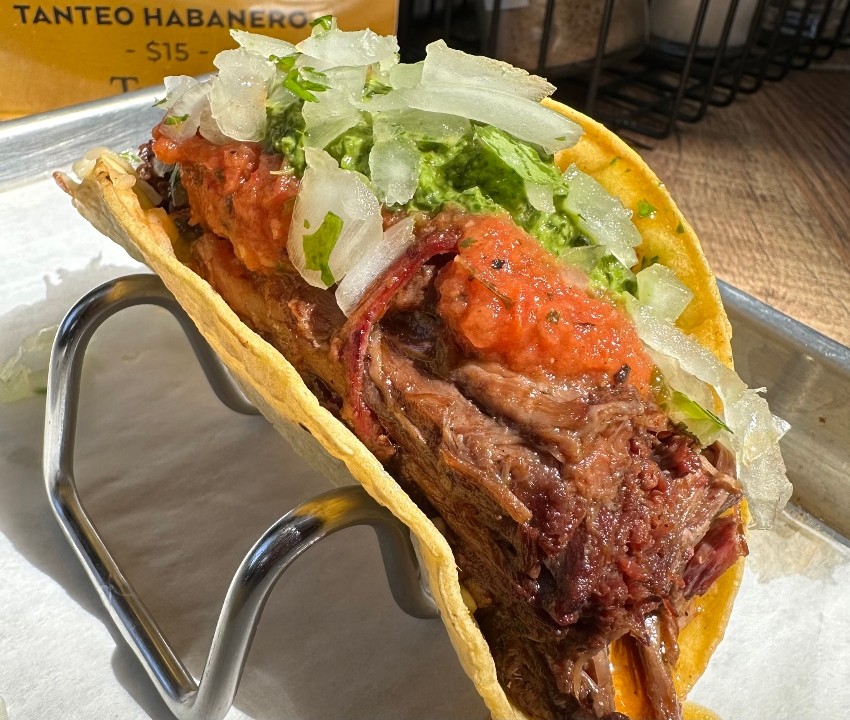 Short Rib Barbacoa Taco