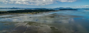 Taylor Shellfish Farms