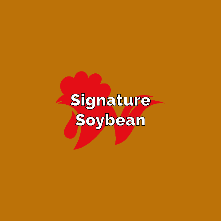 Signature Soybean Ginger