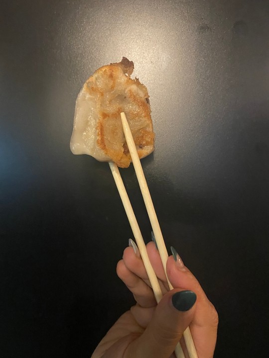 Pan-Seared Pork & Shrimp Dumplings 猪肉虾仁煎饺 Frito Masa De Camarones🐖🍤