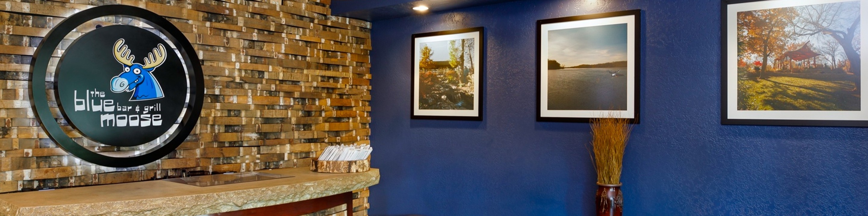Blue Moose - Topeka Blue Moose Topeka
