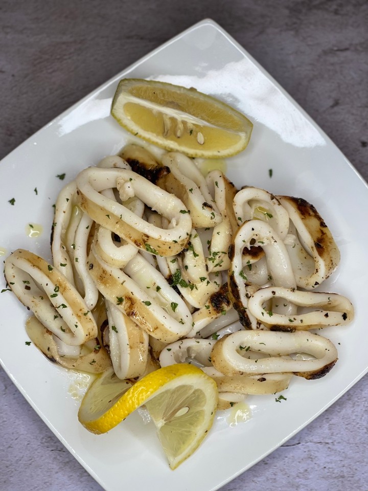 Grilled Calamari