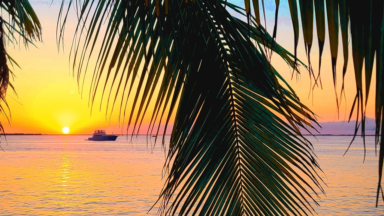 Sundowners Key Largo