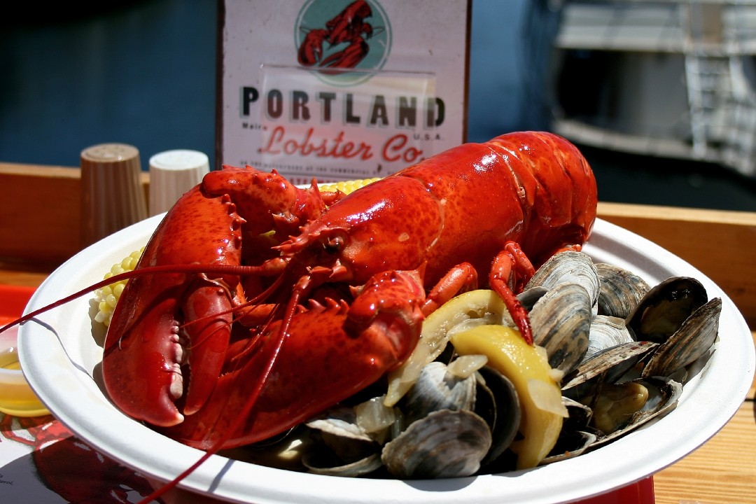 Portland Lobster Company