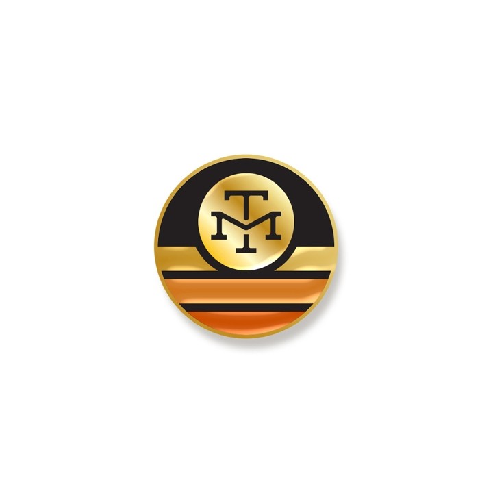 Pin-Gold MT Logo