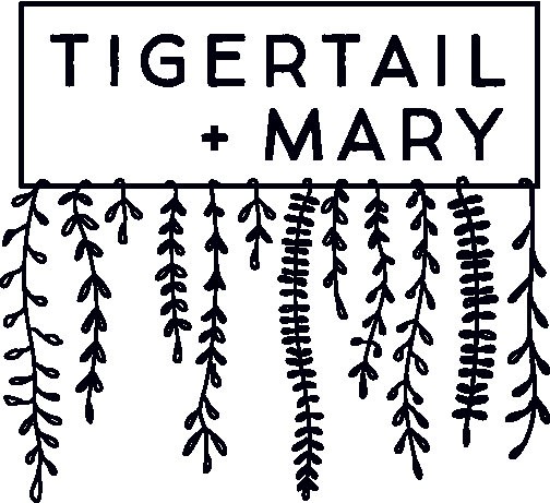 Tigertail + Mary Coconut Grove