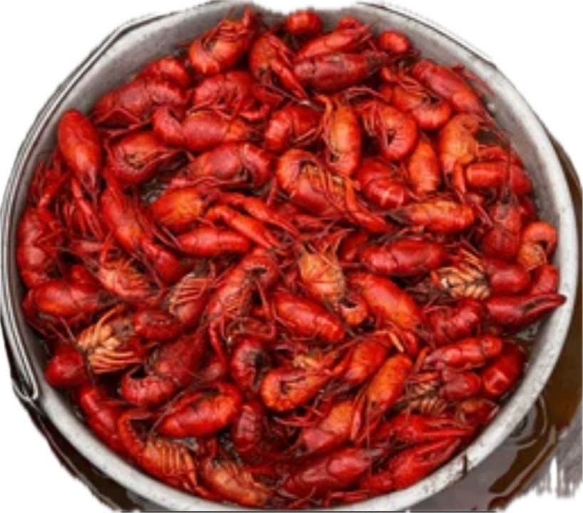 Run Tell Dat Seafood 26835Cypresswood Drive