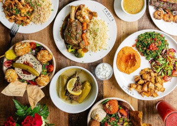 Fadi's Mediterranean Grill Sugar Land