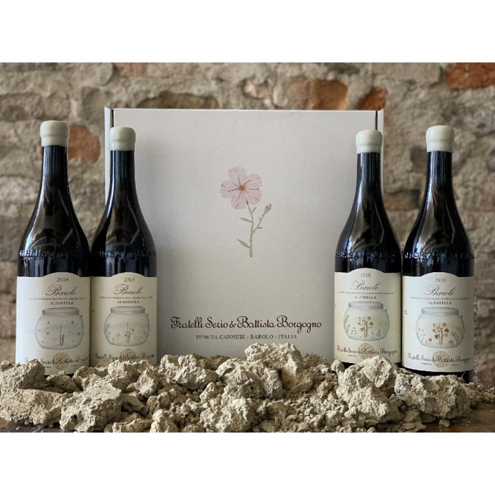 Fratelli Serio & Battista Borgogno Barolo Albarella 2019 (4-pack)