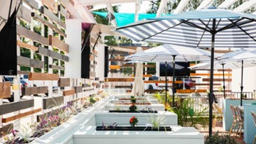 d’Alba Magnolia - The Woodlands