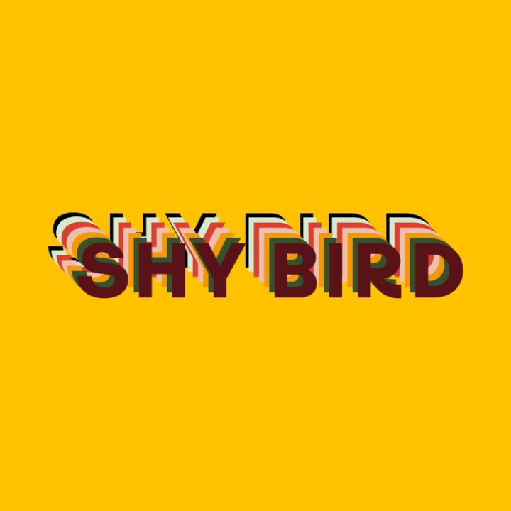 Shy Bird Kendall Square