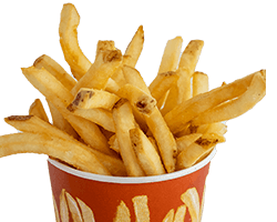 Plain Fries