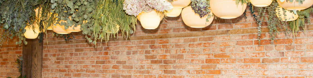 Host Romeo 209 North Main Street