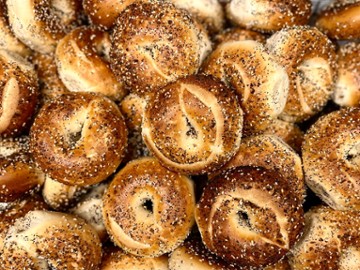 Shug's Bagels 🌙 Maple & Cherokee