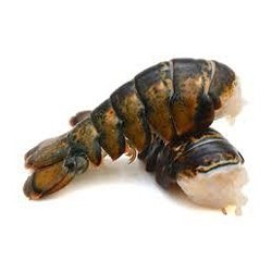 Lobster Tail 8-10 oz Pantry