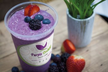 Purple Orchid Hollywood