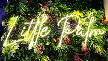 Little Palm 39650 West 14 Mile Road
