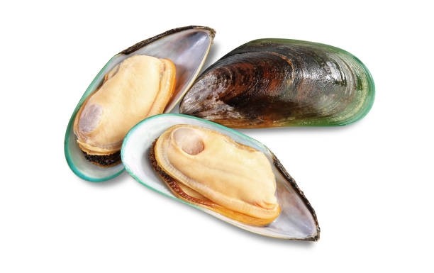 Side Mussels...