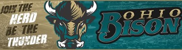 Ohio Bison Baseball & Softball
