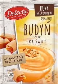 Delecta Fudge Flavor Pudding Mix