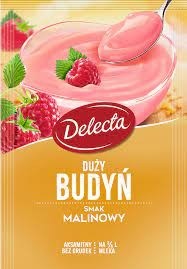 Delecta Raspberry Pudding Mix